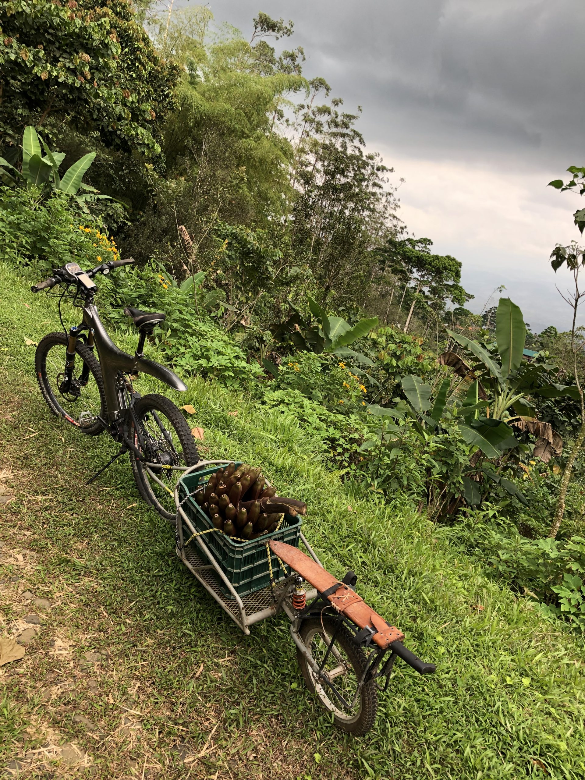 La Tigra regenerative cacao farm - Costa Rica
