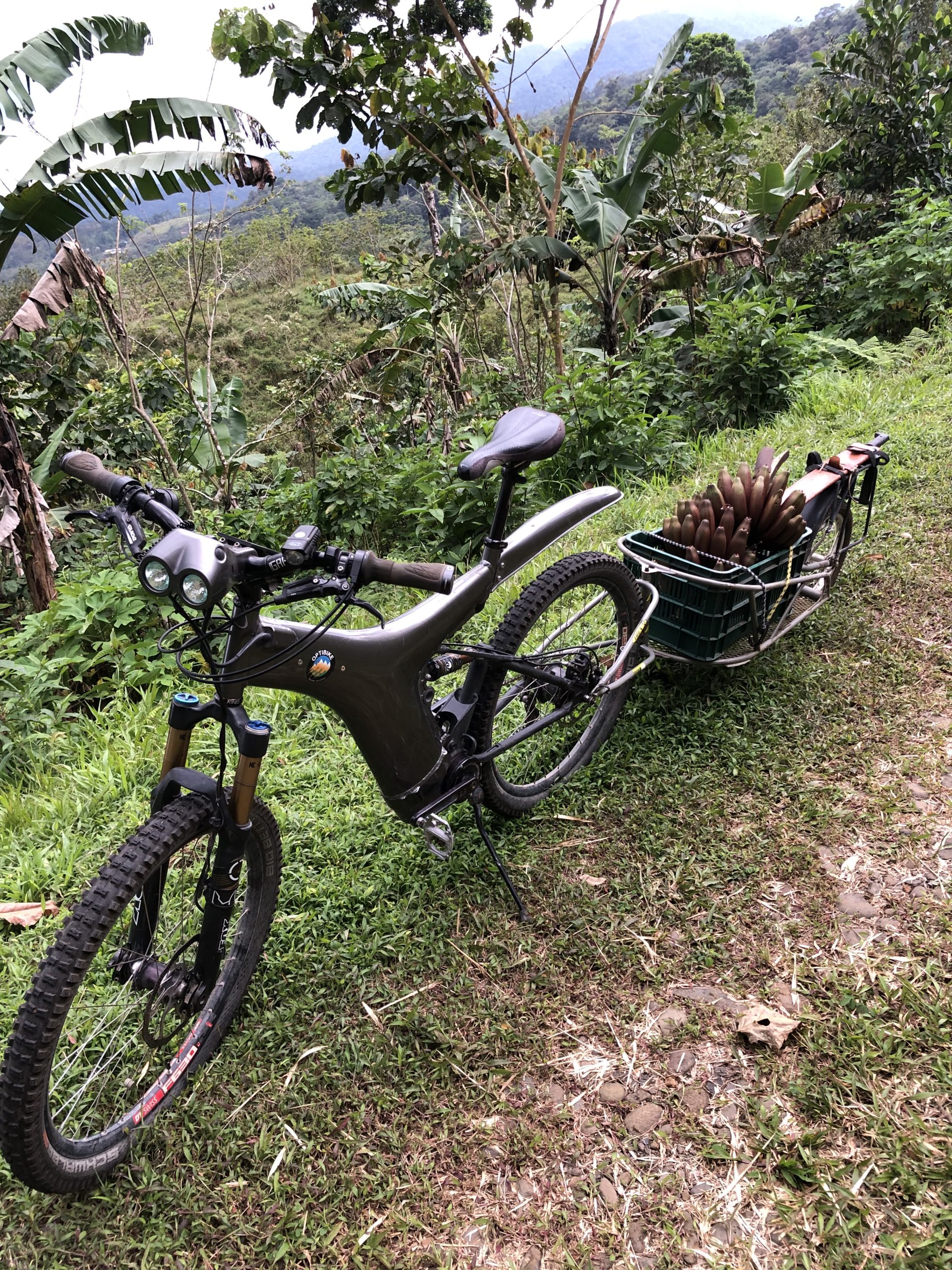 Cacao farm La Tigra Costa Rica